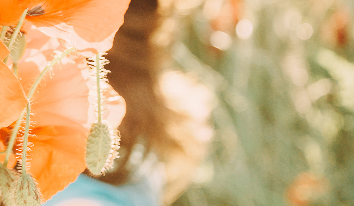 Susanna Vonaesch Kontakt gefuehlsimpuls