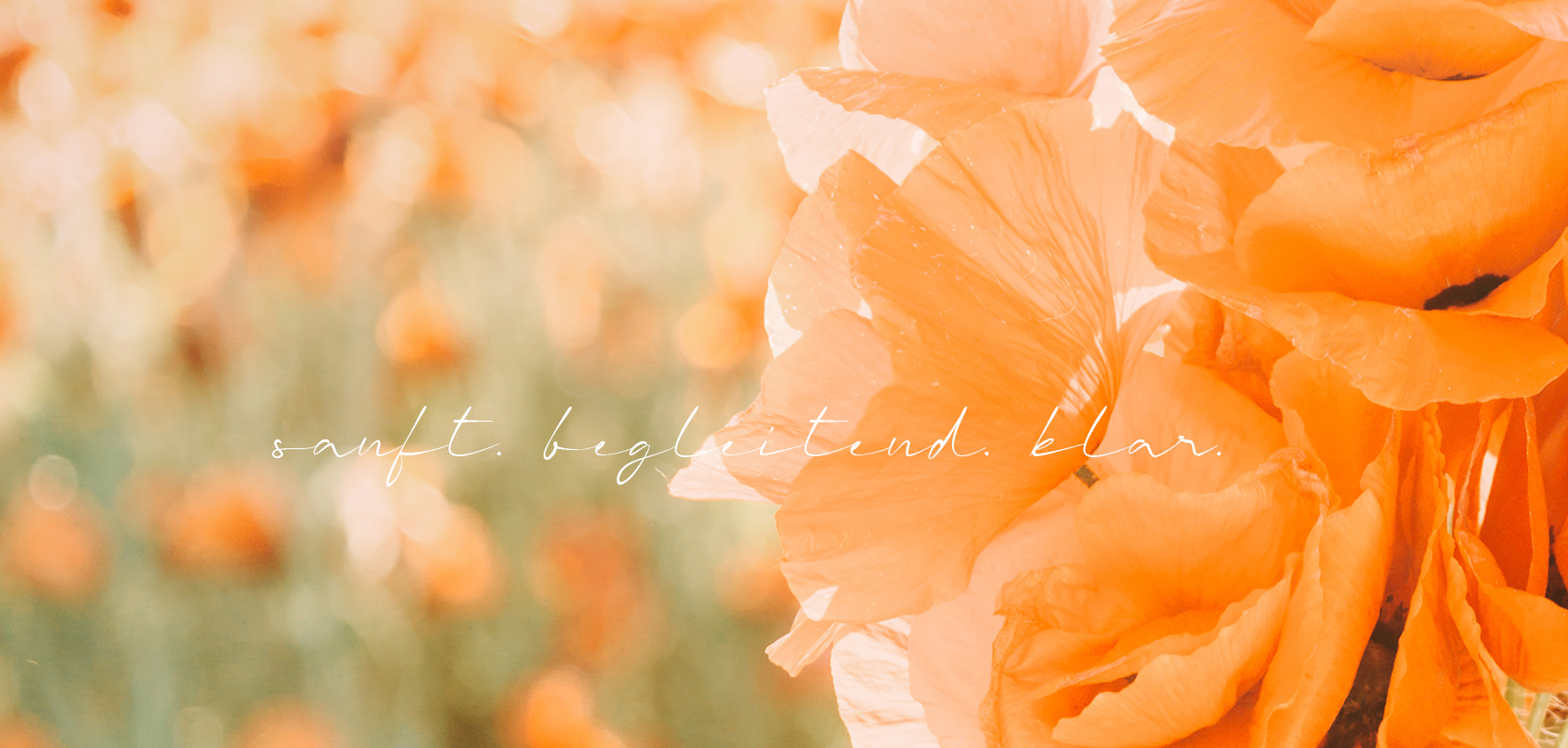 Susanna Vonaesch ueber mich gefuehlsimpuls