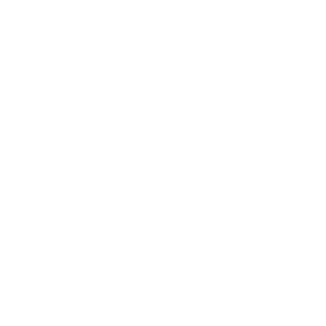 logo_gefuehlsimpuls_weiss.png